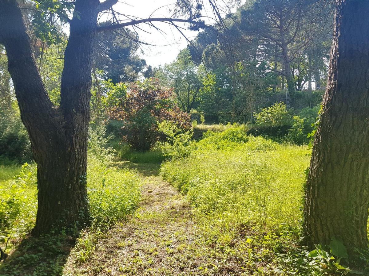 Mas Des Ballats Saint-Bauzille-de-Putois Esterno foto