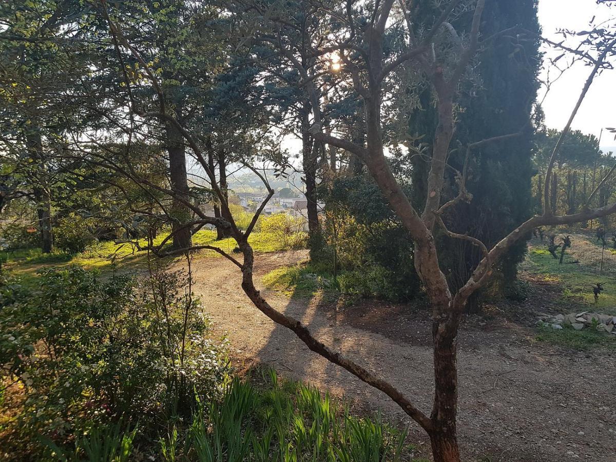 Mas Des Ballats Saint-Bauzille-de-Putois Esterno foto